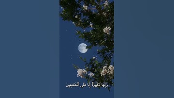 واستعينوا بالصبر والصلاة للقارئ عبدالرحمن مسعد  / تلاوة هادئة 🌿