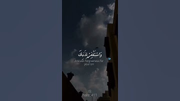 ايه تريح القلب من سوره غافر🥺🥺🥺🥺❤️❤️❤️❤️❤️