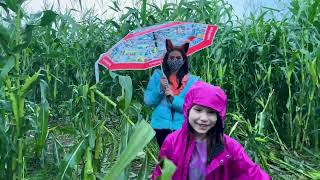 Corbin & Vollstedt Pumpkin Patch Promo