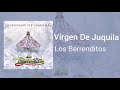 Virgen De Juquila - Los Berrenditos Y Nada Más. (2021)