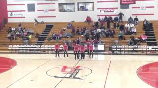 FAHS Poms Halftime 1/11/2016