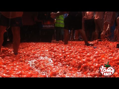Video: Saftige Fotos Von Bogotás Tomatenwerffestival