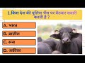 Gk Question || Most Interesting Gk Questions And Answers || GK Question and Answer || IQChoice Hub