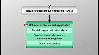 ACLS 2020 - Post Cardiac Arrest Care Algorithm Net Worth