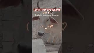 (⁠๑⁠♡⁠⌓⁠♡⁠๑⁠).....#selfconfidence #shorts #trendingshorts #documenting #study #vlog
