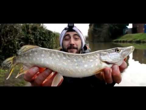 Snagged Bro CHANNEL TRAILER - YouTube