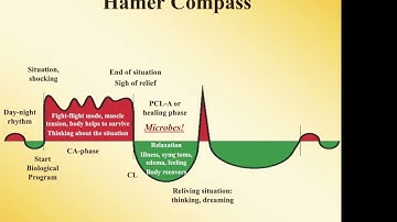 Implications Hamer Compass HB