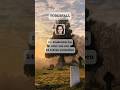 † Sophie Nyweide - Sie machte sich als Jungschauspielerin einen... #shorts #celebrity #rip #death