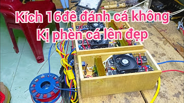 Kích cá lóc đánh bộ,kích cá trê đánh bộ,kích ếch quẩy bộ,kích cá rô phi,kích cá trào
