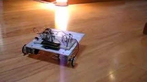 Braitenberg Robot