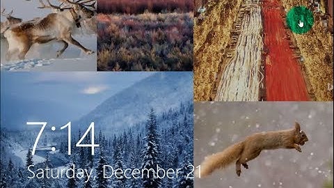 Windows 8.1 - Bing Wallpapers Lockscreen Slideshow (New Image Each Day)