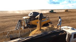 SOY HARVEST IN MATO GROSSO  DRONE IMAGES