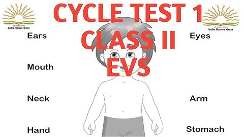 class 2nd EVS/ cycle test 1/question paper/solution/ kv #kvs #pt1 #kvexam #evs #class2 #cycletest