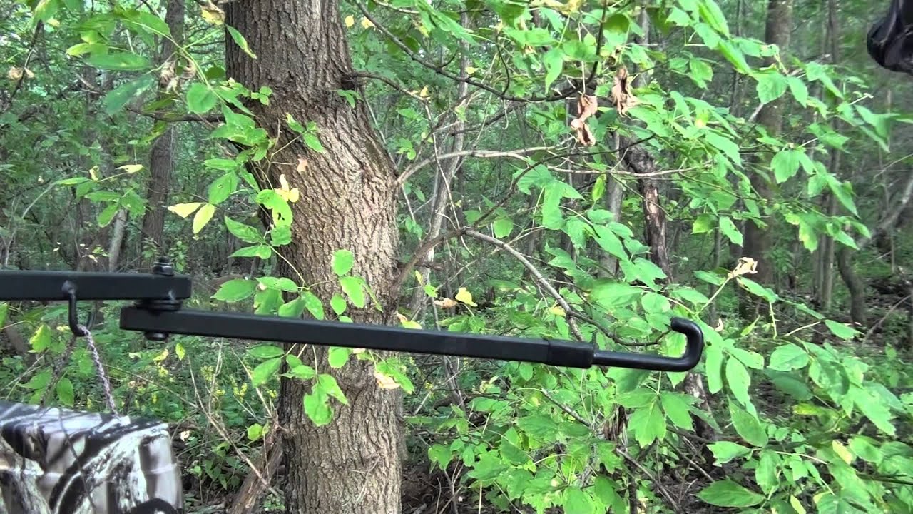 Mn Hmong Deer Hunting 2015 Archery Opener YouTube