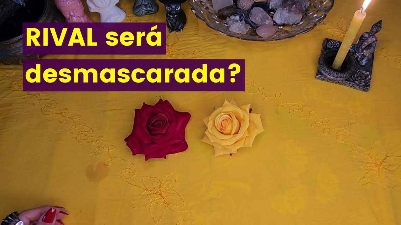 Pessoa AMADA vai DESCOBRIR as armações da (o) RIVAL?  🦊