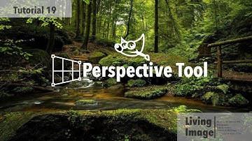 How to use Perspective Tool in Gimp 2.10.22
