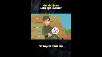 RỪNG RẬM VIỆT NAM CƠN ÁC MỘNG CỦA LÍNH MỸ #quansu #kienthucquansu #vietnam