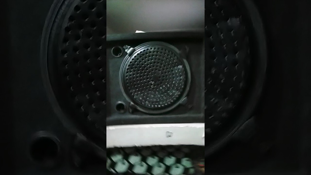 vasco-local speaker in market bass test