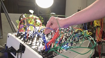 Modular Synth Counterpoint Study (Uccelli)