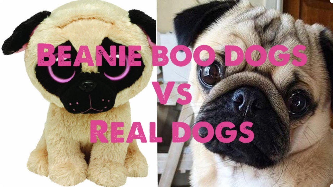 beanie boo dogs