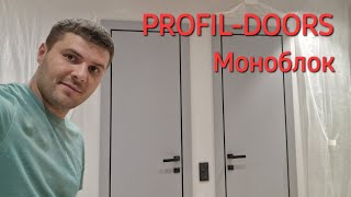 Установка двери Моноблок Профиль дорс ( PROFIL-DOORS)