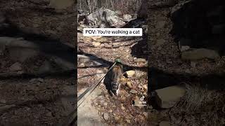 Hiking cat #adventurecat #catsoftiktok