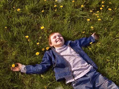 Отрывок из книги А.Лопатина и М.Скребцова "Семейные заповеди. В плену у компьютера" Отрывок из книги А.Лопатина и М.Скребцова "Семейные заповеди. В плену у компьютера"