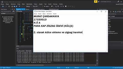 WPF PARA KAP KÜLÇE ZİGZAG