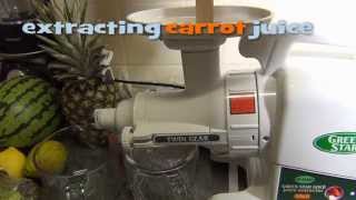 Tribest Green Star Gold Twin Gear Juicer GP-E1503 review