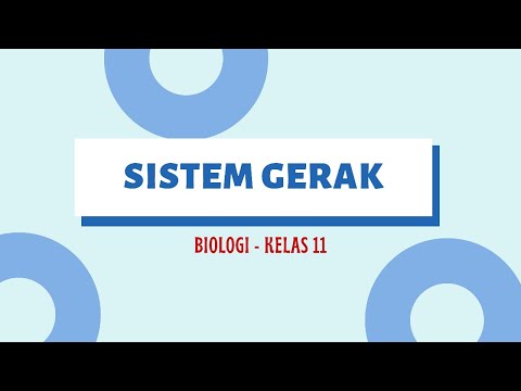 SISTEM GERAK : BIOLOGI SMA KELAS 11