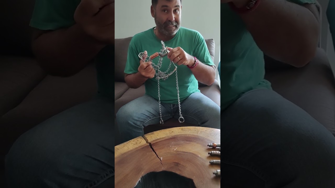 El Freno Mexicano de bocados intercambiables marca Rasa