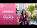Gardening 101 with Amlaan | 12 Low-light Colourful Houseplants | छाया में रखे जाने वाले रंगीन पौधे
