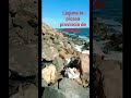 #subcribete #pescando #fishing #pescaderia #playa #pescadeportiva #naturaleza #pesca #buenapesca