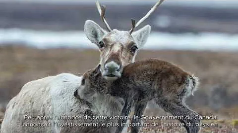 2018 Not-for-Profit (Large) Nature Inspiration Award