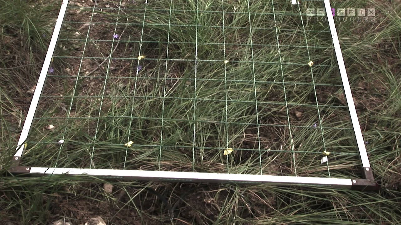 OK PROTOCOLES   relevés de végétation