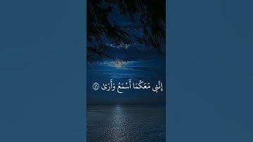 #قرآن #قران_كريم #تلاوة_خاشعة #اللهم_صل_وسلم_على_نبينا_محمد #اكسبلور #quran #islam #allah #foryou