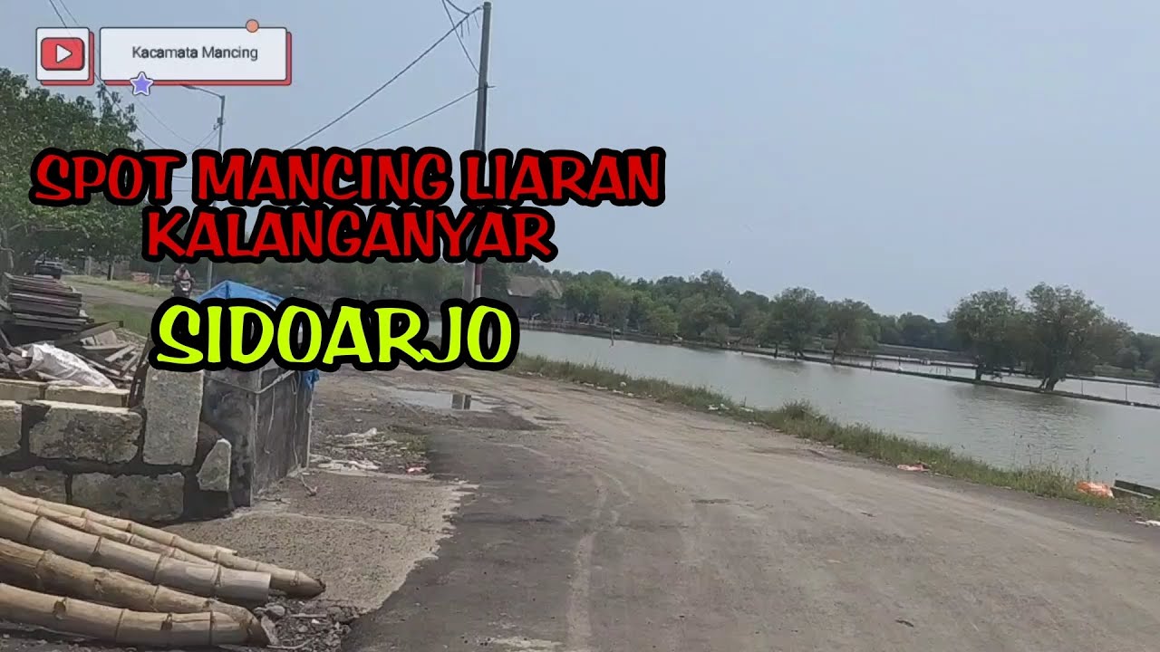 RUTE SPOT MANCING GRATIS KALANGANYAR SIDOARJO 🔥 LIARAN IKAN JAER BANDENG BELANAK