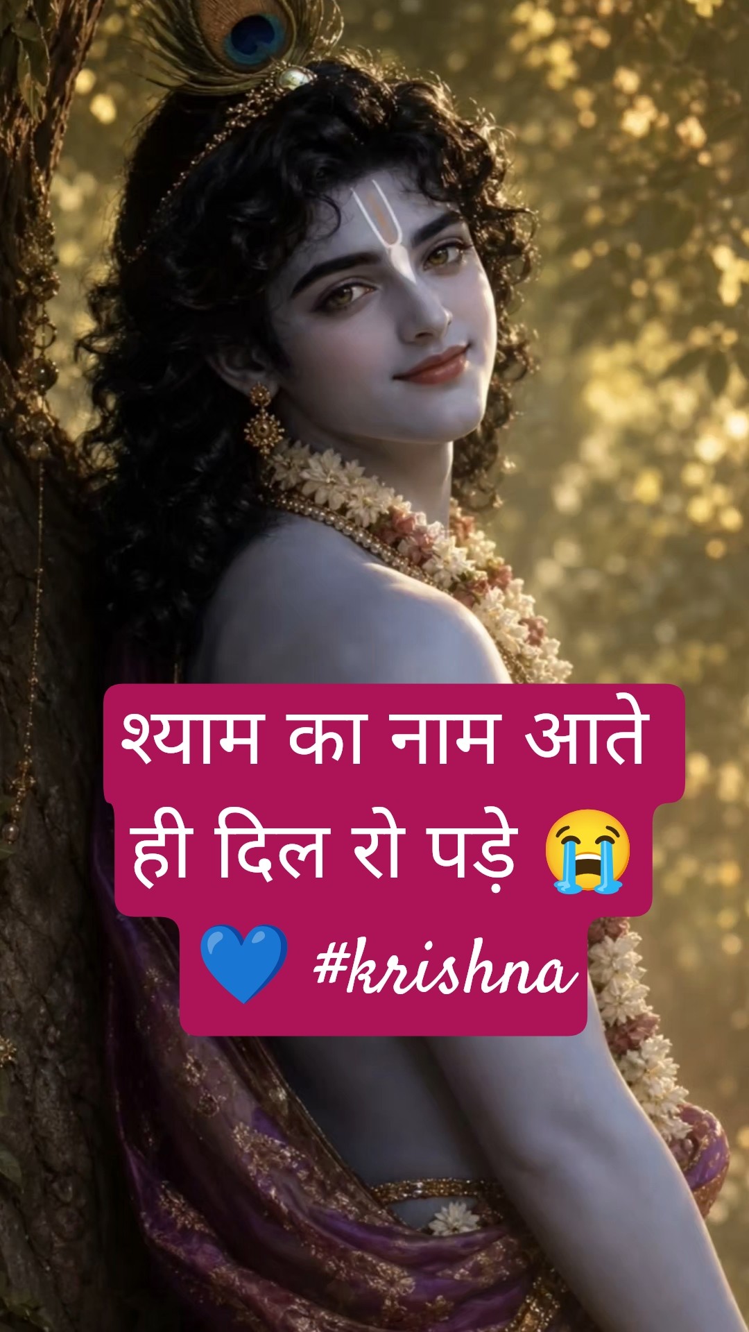 📱વ્હોટ્સએપ સ્ટેટ્સ📱 - ShareChat