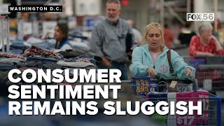 Consumer sentiment sluggish with Americans in 'wait-and-see mode' over inflation