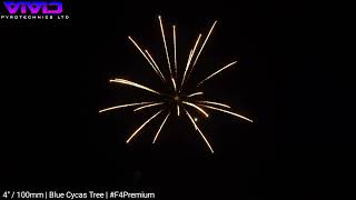 4/100mm Shell | Blue Cycas Tree | #F4Premium #VividPyrotechnics #fireworks
