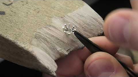 Shaping Up the Claws on a Rex Collet