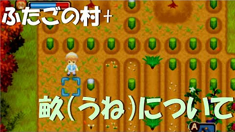 ふたごの村 攻略法 Mp3