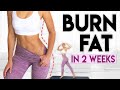 SWEATY FAT BURN in 2 Weeks (full body cardio) | 10 minute Workout