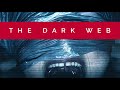 Why You Should Never Visit The Dark Web - YouTube