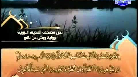العيون الكوشي   سورة النجم