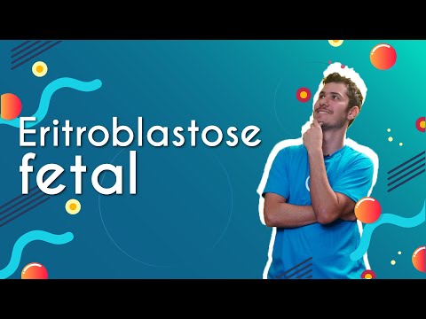 Eritroblastose fetal - Brasil Escola