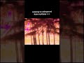 this is the best new wave  pop song everrr