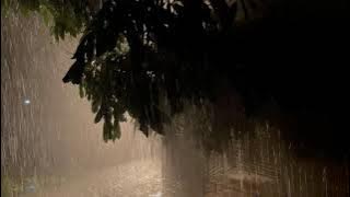 Sleep Like A Rock With Heavy Rainstorm, Light Thunder & Water Drop sounds - 4K Rain For Relax, Read