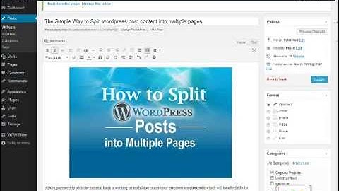 The simple way to split Long wordpress post into many pages