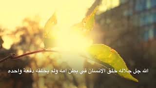 فيديو عن الرفق Youtube